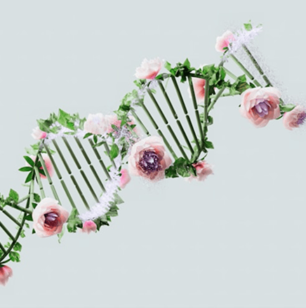 Scientists conducting advanced biotechnological research and developing innovative solutions in healthcare – GCG Biotech.